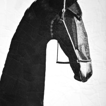 Caballos. Illustration, Fine Arts, Collage, and Creativit project by Lola Dupre - 07.21.2021