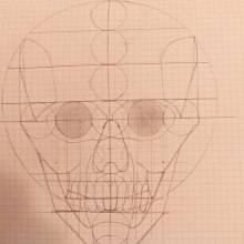Mi Proyecto del curso: Dibujo anatómico de la cabeza humana. Fine Arts, Pencil Drawing, Drawing, Portrait Illustration, Portrait Drawing, Realistic Drawing, and Figure Drawing project by sara12 - 07.29.2021