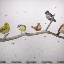 Meu projeto do curso: Técnicas expressivas de aquarela para ilustração de pássaros. Un proyecto de Ilustración tradicional, Pintura a la acuarela, Dibujo realista e Ilustración naturalista				 de Lindsay Korth - 23.05.2021