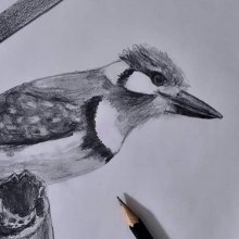 Aves Aprendizajes. Een project van Traditionele illustratie van Nurys Esperanza Silva Cantillo - 25.02.2021