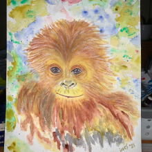 Young Endangered Orangutan. Un proyecto de Ilustración tradicional, Bellas Artes, Pintura, Pintura a la acuarela e Ilustración naturalista				 de Judy - 27.01.2022
