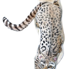 Mi Proyecto del curso: Gato de Geoffrey (Leopardus geoffroyi. Un proyecto de Ilustración tradicional, Pintura a la acuarela, Dibujo realista e Ilustración naturalista				 de Juanjo Soto Sanhueza - 10.08.2021