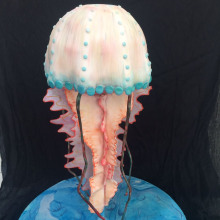 Água-viva (moon jellyfish). Design, DIY, e Artes culinárias projeto de Luciane Costa - 17.07.2021