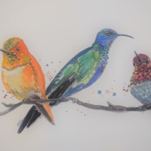 My project in Artistic Watercolor Techniques for Illustrating Birds course. Un proyecto de Ilustración tradicional, Pintura a la acuarela, Dibujo realista e Ilustración naturalista				 de Sharon Guy - 20.08.2021