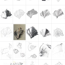 50 DRAWINGS - SHELL. Un proyecto de Ilustración tradicional de Karen Lee - 26.08.2021