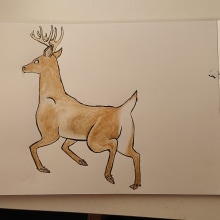 My project in Animal Illustration: Capturing Wildlife in a Sketchbook course. Traditional illustration, Collage, Sketchbook, and Naturalistic Illustration project by Samantha de Mattos - 08.28.2021