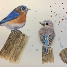 My project in Artistic Watercolor Techniques for Illustrating Birds course. Traditional illustration, Watercolor Painting, Realistic Drawing, and Naturalistic Illustration project by debbiemc - 08.30.2021