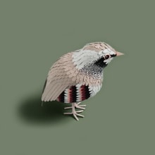 Paper Birds. Un progetto di Design, Illustrazione tradizionale e Papercraft di Sarah Louise Matthews - 31.08.2021