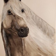 My project in Expressive Animal Portraits in Watercolor course. Traditional illustration, Watercolor Painting, Realistic Drawing, and Naturalistic Illustration project by Cris DeHart - 09.01.2021