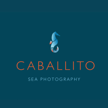 CABALLITO Sea Photography. Design, Br, ing e Identidade, Design gráfico, e Design de logotipo projeto de Marta Pineda - 03.09.2021