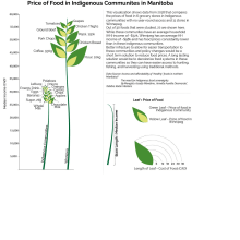 Cost of Food in Indigenous Communities . Arquitetura da informação, Design de informação, Design interativo e Infografia projeto de aditixjain - 03.09.2021