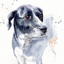 Luise, the funny dog of my friend Uwe. Pintura em aquarela projeto de Tina Ritter - 06.09.2021