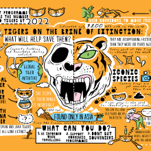 Smithsonian - Scribing. Traditional illustration, Information Design & Infographics project by Scriberia - 09.29.2021