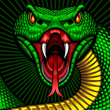 Mat Beast "Green Viper" rash guard illustration. Un progetto di Illustrazione tradizionale e Illustrazione digitale di Matt Curtis - 27.01.2020
