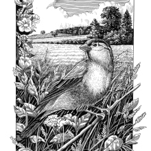 My project in Dip Pen and Ink Illustration: Capturing The Natural World course. Sketching, Drawing, Artistic Drawing, Sketchbook, Ink Illustration, and Naturalistic Illustration project by Philip Harris - 10.15.2021