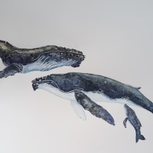 Mi Proyecto del curso: Técnicas de ilustración naturalista: ballenas en acuarela. Un proyecto de Ilustración tradicional, Diseño de carteles, Ilustración digital y Manga de Monique Doyon - 14.10.2021