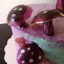 Mi Proyecto del curso: Cake design: técnicas decorativas modernas "THE MAGIC MUSHROOMS CAKE". Un proyecto de Diseño, DIY y Artes culinarias de Paloma Irazema Robles Alonso - 27.10.2021