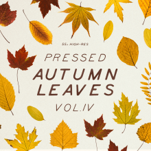 Pressed Autumn Leaves Vol.4. Photograph, UX / UI, Social Media, and Social Media Design project by Sparrow & Snow - 10.25.2019