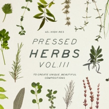 Pressed and Dry Herbs VOL3. Design, Social Media, and Social Media Design project by Sparrow & Snow - 09.09.2019