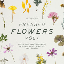 Pressed Dry Flowers & Herbs Vol.1. Design, Photograph, UX / UI, Social Media, and Social Media Design project by Sparrow & Snow - 08.04.2019