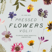 Pressed Dry Flowers & Herbs Vol.2. Design, Photograph, Social Media, and Social Media Design project by Sparrow & Snow - 08.14.2019