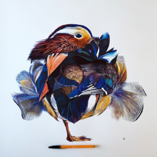 Mandarin Duck - ballpoint pen. Un proyecto de Bellas Artes de Tracie Callaghan - 29.10.2021