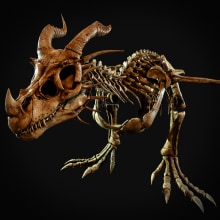 Dragon Skeleton. 3D, Animação, Design de personagens, Design de jogos, Animação 3D, Modelagem 3D, Videogames, Unit, e 3D Design projeto de Alex Sanrey - 06.11.2021