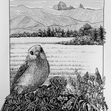 My project in Dip Pen and Ink Illustration: Capturing The Natural World course. Sketching, Drawing, Artistic Drawing, Sketchbook, Ink Illustration, and Naturalistic Illustration project by Chloe Gendron - 11.12.2021