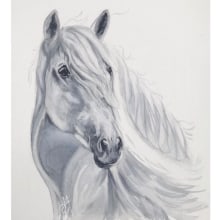 Monochromatic White horse. Traditional illustration project by Michela Gissi - 11.14.2021