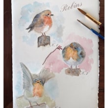 Watercolour Robins. Traditional illustration project by Michela Gissi - 10.22.2021