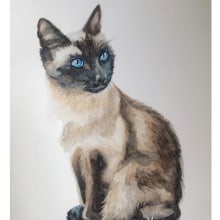 Siamese cat using 4 colours . Traditional illustration, Fine Arts, Painting, and Watercolor Painting project by Michela Gissi - 11.15.2021