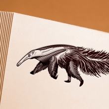 Gravura Tamanduá-Bandeira. Ilustração e Ilustração digital projeto de Victor Tognollo - 17.11.2021