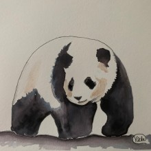 Panda. Pintura em aquarela projeto de vacker8 - 17.11.2021