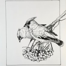 My project in Dip Pen and Ink Illustration: Capturing The Natural World course. Sketching, Drawing, Artistic Drawing, Sketchbook, Ink Illustration, and Naturalistic Illustration project by Anna - 11.16.2021