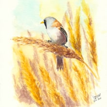 Pájaros en acuarela - Watercolour birds. Pintura em aquarela projeto de iguazelcz - 05.12.2021