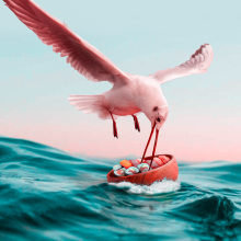 Mi Proyecto del curso: Pájaro pesca sushi. Ein Projekt aus dem Bereich Fotografie, Collage, Fotoretuschierung, Digitale Illustration, Fotografische Komposition und Fotomontage von Jose Suárez Santana - 16.12.2021