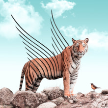 Tigre Gourmand - Merci Julien pour ce cours incroyable !. Photograph, Collage, Photo Retouching, Digital Illustration, Photographic Composition, and Photomontage project by Loris LAM - 12.29.2021