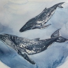 My project in Naturalist Illustration Techniques: Whales in Watercolor course. Un proyecto de Ilustración tradicional, Diseño de carteles, Ilustración digital y Manga de Nina Gotua - 30.12.2021