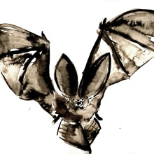 Long-eared bat. Un proyecto de Ilustración tradicional de Eileen Laurie - 10.01.2022