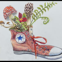 Chuck Taylors Return to Nature. Traditional illustration, Pencil Drawing, Drawing, Artistic Drawing, Naturalistic Illustration, and Colored Pencil Drawing project by frankis0028 - 01.20.2022