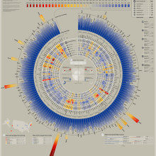 The Cost of Living in America. Information Design & Infographics project by Marco Giannini - 09.14.2016