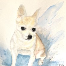 My project in Expressive Animal Portraits in Watercolor course. Traditional illustration, Watercolor Painting, Realistic Drawing, and Naturalistic Illustration project by vacker8 - 01.30.2022