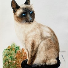 Siamese Thai Cat. Ilustração tradicional, Artes plásticas, Pintura, e Pintura em aquarela projeto de Judy - 23.01.2022