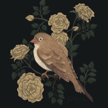 Little Sparrow & Wild Roses. Un proyecto de Ilustración tradicional, Dibujo, Ilustración digital, Dibujo realista, Pintura digital e Ilustración naturalista				 de Jesika - 27.01.2022