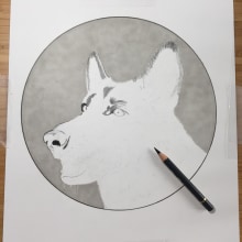 German Shepherd. Un proyecto de Dibujo con lápices de colores de Lee Billingham - 31.01.2022