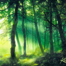 "Forest in the Hazy Light". Traditional illustration, and Watercolor Painting project by Katarzyna Kmiecik - 02.11.2022