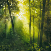 "Light in the Dark Forest". Traditional illustration, and Watercolor Painting project by Katarzyna Kmiecik - 02.11.2022