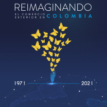 Cubierta libro: Reimaginando el comercio exterior en Colombia - Araújo Ibarra 50 años. Un proyecto de Diseño, Dirección de arte, Diseño gráfico, Diseño de la información, Creatividad y Comunicación de John Triana - 14.10.2021