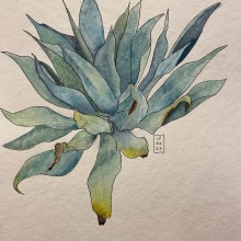 My project in Botanical Sketchbooking: A Meditative Approach course. Traditional illustration, Sketching, Drawing, Watercolor Painting, Botanical Illustration, and Sketchbook project by pjwu93 - 02.16.2022
