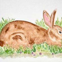 Mother Rabbit. Ilustração tradicional, Artes plásticas, Pintura, Pintura em aquarela e Ilustração naturalista projeto de Judy - 20.02.2022
